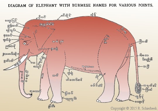 Burmese elephant drawing